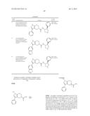 FUSED PYRAZOLE DERIVATIVES AS NOVEL ERK INHIBITORS diagram and image