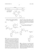 FUSED PYRAZOLE DERIVATIVES AS NOVEL ERK INHIBITORS diagram and image