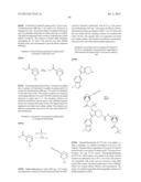 FUSED PYRAZOLE DERIVATIVES AS NOVEL ERK INHIBITORS diagram and image