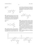 NOVEL AND SELECTIVE CCR2 ANTAGONISTS diagram and image