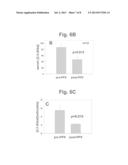 USE OF PRAMIPEXOLE TO TREAT AMYOTROPHIC LATERAL SCLEROSIS diagram and image