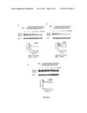 SELECTIVE INHIBITION OF POLYGLUTAMINE PROTEIN EXPRESSION diagram and image