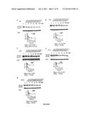 SELECTIVE INHIBITION OF POLYGLUTAMINE PROTEIN EXPRESSION diagram and image