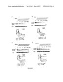 SELECTIVE INHIBITION OF POLYGLUTAMINE PROTEIN EXPRESSION diagram and image