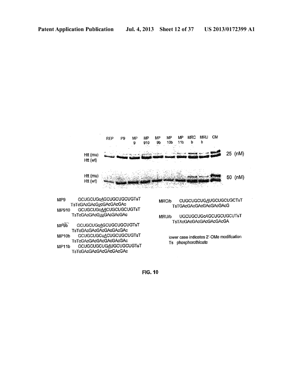 SELECTIVE INHIBITION OF POLYGLUTAMINE PROTEIN EXPRESSION - diagram, schematic, and image 13