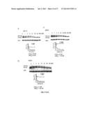 SELECTIVE INHIBITION OF POLYGLUTAMINE PROTEIN EXPRESSION diagram and image