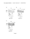 SELECTIVE INHIBITION OF POLYGLUTAMINE PROTEIN EXPRESSION diagram and image