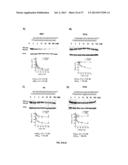 SELECTIVE INHIBITION OF POLYGLUTAMINE PROTEIN EXPRESSION diagram and image