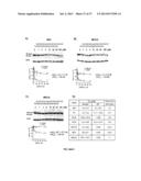 SELECTIVE INHIBITION OF POLYGLUTAMINE PROTEIN EXPRESSION diagram and image