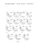 SELECTIVE INHIBITION OF POLYGLUTAMINE PROTEIN EXPRESSION diagram and image