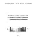 SELECTIVE INHIBITION OF POLYGLUTAMINE PROTEIN EXPRESSION diagram and image