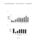 SELECTIVE INHIBITION OF POLYGLUTAMINE PROTEIN EXPRESSION diagram and image