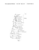 GENE THERAPY FOR SULFATASE DEFICIENCY diagram and image