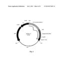 GENE THERAPY FOR SULFATASE DEFICIENCY diagram and image