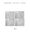 INTERMESHING MIXING OF FILLER AND POLYMER SOLUTION MASTERBATCH diagram and image