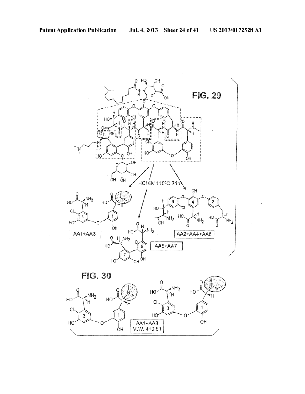 DALBAVANCIN COMPOSITIONS FOR TREATMENT OF BACTERIAL INFECTIONS - diagram, schematic, and image 25