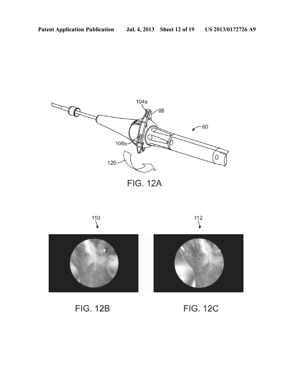 IN-VIVO VISUALIZATION SYSTEMS - diagram, schematic, and image 13