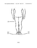 SYSTEM, METHOD AND APPARATUS FOR DETERMINING THE THICKNESS OF ORTHOTICS     NEEDED TO CORRECT FOR DIFFERENCES IN LEG LENGTH diagram and image