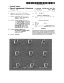 ADHESIVE STRUCTURE WITH TISSUE PIERCING PROTRUSIONS ON ITS SURFACE diagram and image