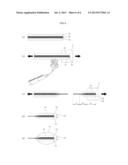 OPTICAL PROBE LED CHIP MODULE FOR BIOSTIMULATION AND METHOD OF     MANUFACTURING THE SAME diagram and image