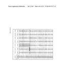 NUCLEIC ACID SEQUENCE ANALYSIS diagram and image