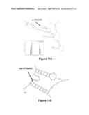 NUCLEIC ACID SEQUENCE ANALYSIS diagram and image