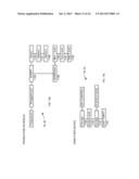 System For Combining Datasets And Information Structures By Intercalation diagram and image