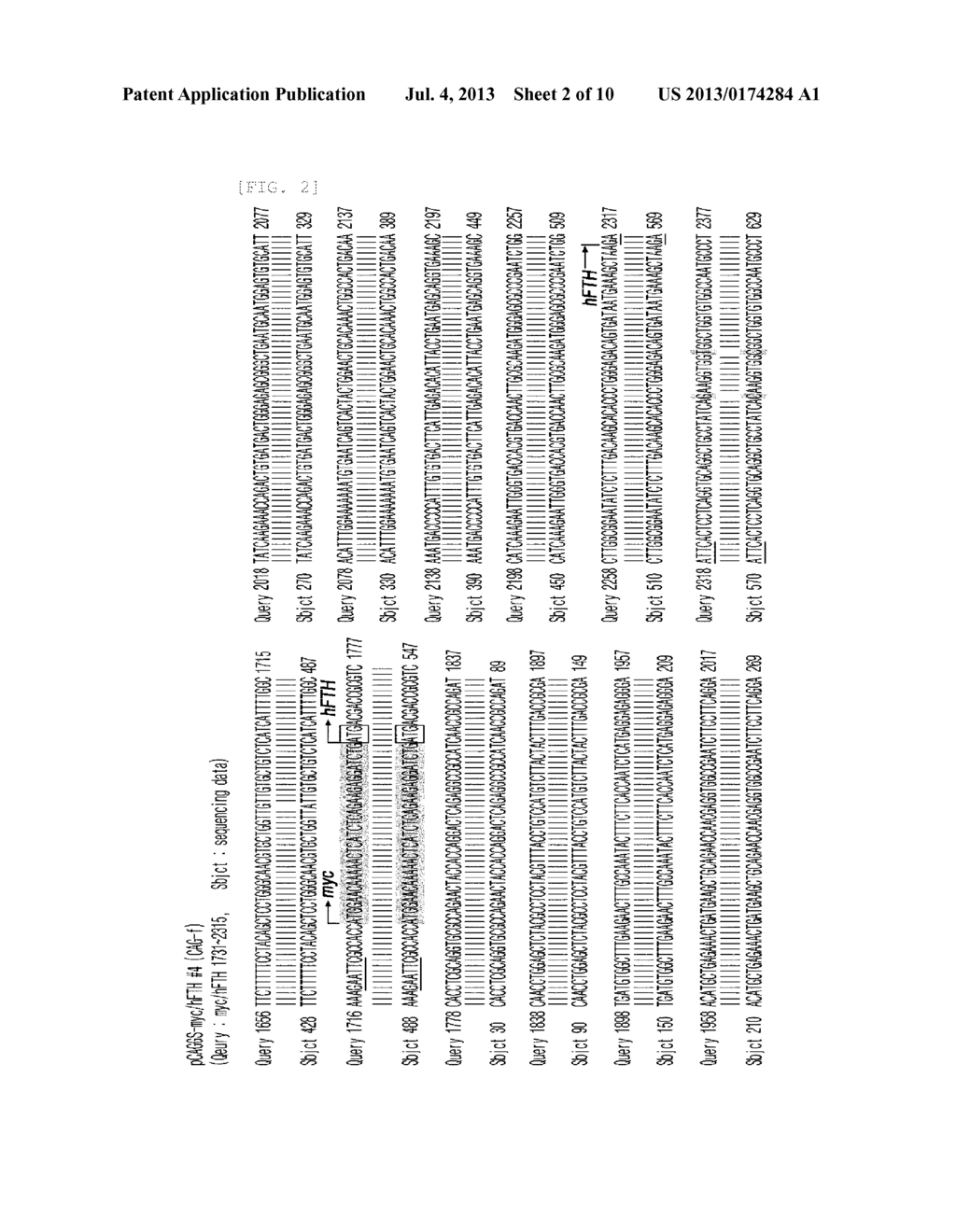 TRANSGENIC MOUSE FOR EXPRESSING HUMAN FERRITIN IN TISSUE NON-SPECIFIC     MANNER AND USE THEREOF - diagram, schematic, and image 03