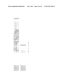 DROUGHT AND HEAT TOLERANCE IN PLANTS diagram and image