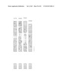 DROUGHT AND HEAT TOLERANCE IN PLANTS diagram and image