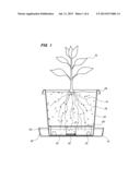 SELF-WATERING FRUIT TREE CONTAINER WITH ROOT PRUNING AERATIONS APERTURES     AND EXTERIOR WATER LEVEL INDICATOR diagram and image