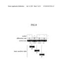 WAVEFORM DATA GENERATING APPARATUS AND WAVEFORM DATA GENERATING PROGRAM diagram and image