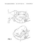 Illuminated Pet Bed Device diagram and image