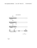 Controlled access satellite navigation receiver diagram and image