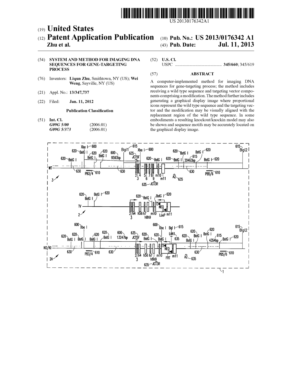 SYSTEM AND METHOD FOR IMAGING DNA SEQUENCES FOR GENE-TARGETING PROCESS - diagram, schematic, and image 01