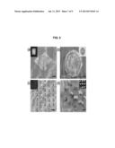 OPTOFLUIDIC LITHOGRAPHY SYSTEM,  METHOD  OF MANUFACTURING TWO-LAYERED     MICROFLUID CHANNEL, AND METHOD OF MANUFACTURING  THREE-DIMENSIONAL     MICROSTRUCTURES diagram and image