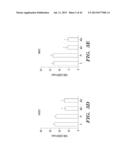 ANTI-DESPR INHIBITORS AS THERAPEUTICS FOR INHIBITION OF PATHOLOGICAL     ANGIOGENESIS AND TUMOR CELL INVASIVENESS AND FOR MOLECULAR IMAGING AND     TARGETED DELIVERY diagram and image