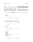 ANTI-DESPR INHIBITORS AS THERAPEUTICS FOR INHIBITION OF PATHOLOGICAL     ANGIOGENESIS AND TUMOR CELL INVASIVENESS AND FOR MOLECULAR IMAGING AND     TARGETED DELIVERY diagram and image