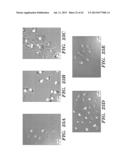 ANTI-DESPR INHIBITORS AS THERAPEUTICS FOR INHIBITION OF PATHOLOGICAL     ANGIOGENESIS AND TUMOR CELL INVASIVENESS AND FOR MOLECULAR IMAGING AND     TARGETED DELIVERY diagram and image