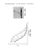 ANTI-DESPR INHIBITORS AS THERAPEUTICS FOR INHIBITION OF PATHOLOGICAL     ANGIOGENESIS AND TUMOR CELL INVASIVENESS AND FOR MOLECULAR IMAGING AND     TARGETED DELIVERY diagram and image