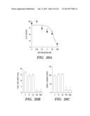 ANTI-DESPR INHIBITORS AS THERAPEUTICS FOR INHIBITION OF PATHOLOGICAL     ANGIOGENESIS AND TUMOR CELL INVASIVENESS AND FOR MOLECULAR IMAGING AND     TARGETED DELIVERY diagram and image