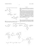 Targeted, NIR Imaging Agents for Therapy Efficacy Monitoring, Deep Tissue     Disease Demarcation and Deep Tissue Imaging diagram and image