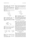 WNT INHIBITORS FOR HUMAN STEM CELL DIFFERENTIATION diagram and image