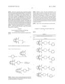 WNT INHIBITORS FOR HUMAN STEM CELL DIFFERENTIATION diagram and image