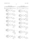 WNT INHIBITORS FOR HUMAN STEM CELL DIFFERENTIATION diagram and image