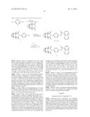 WNT INHIBITORS FOR HUMAN STEM CELL DIFFERENTIATION diagram and image