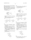 WNT INHIBITORS FOR HUMAN STEM CELL DIFFERENTIATION diagram and image