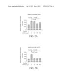 METHODS OF TREATMENT USING RAGE FUSION PROTEINS diagram and image