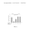 METHODS OF TREATMENT USING RAGE FUSION PROTEINS diagram and image