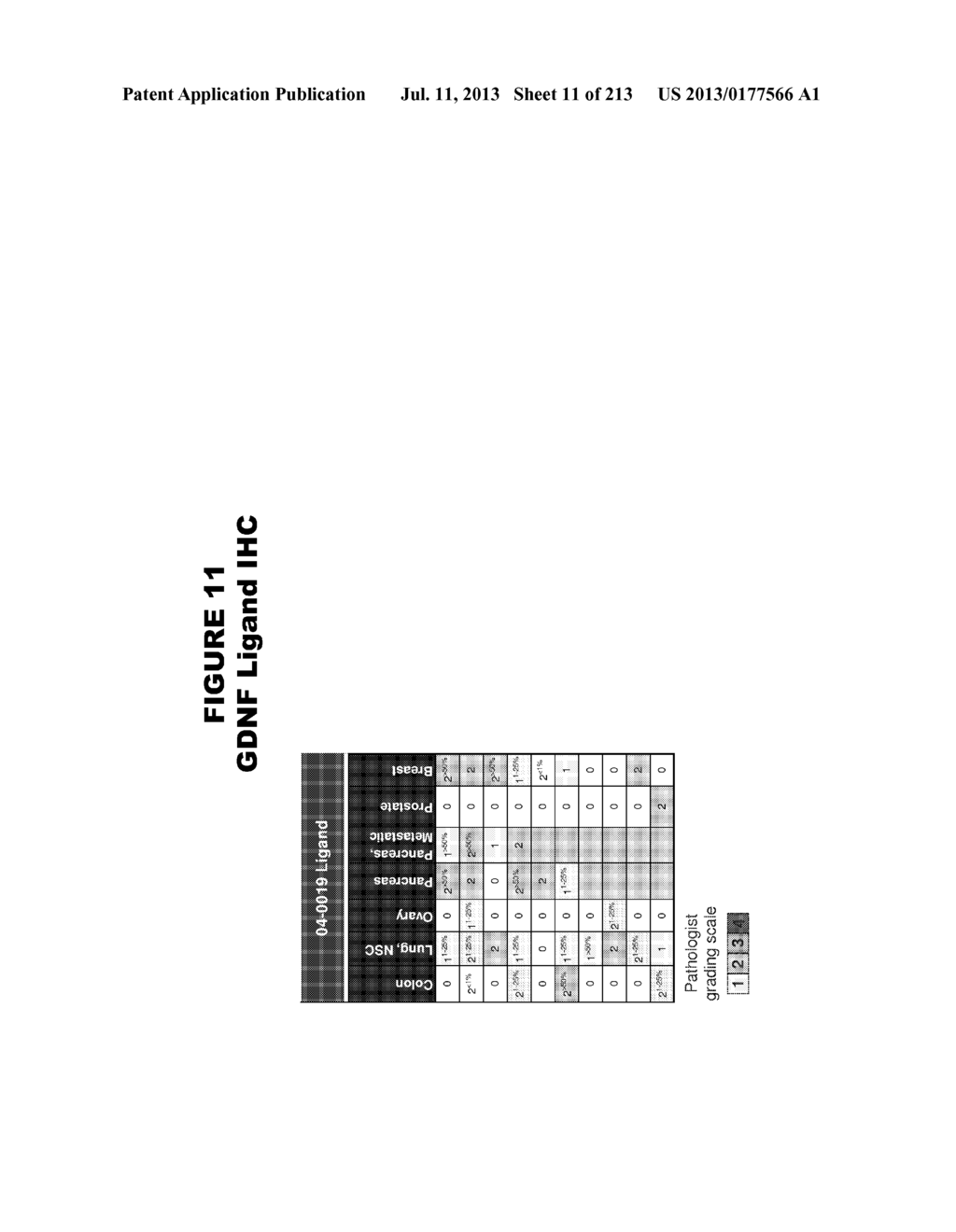 METHODS AND COMPOSITIONS FOR TREATING AND DIAGNOSING DISEASES - diagram, schematic, and image 12